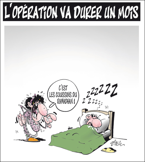 img-1 Ali Dilem